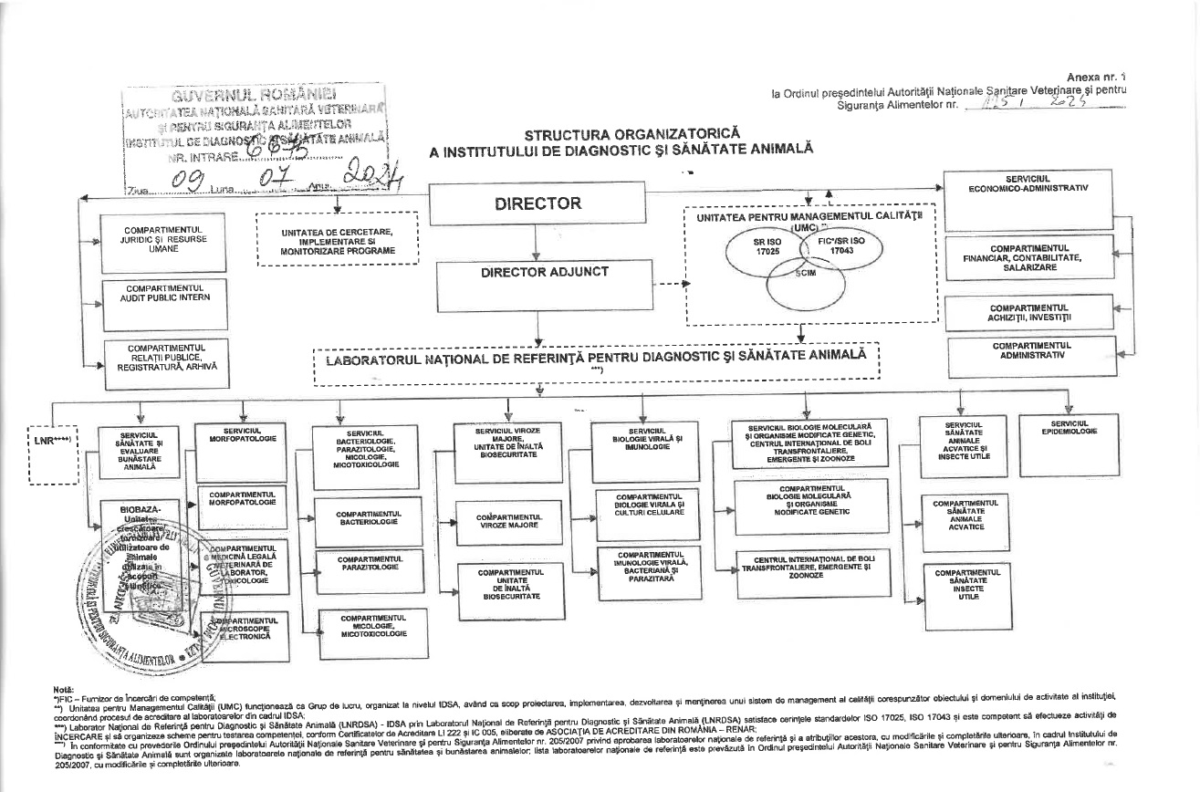 Organigrama